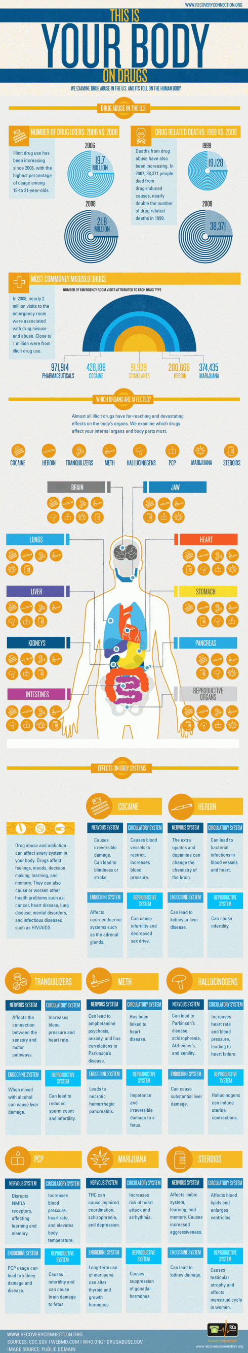 Drug Abuse and Your Body Exposed Infographic